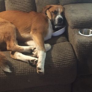 Meet your Posher, Riley